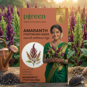 amaranth (thotakura) seeds (10 seeds)
