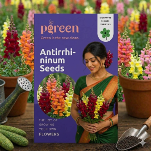 antirrhinum seeds