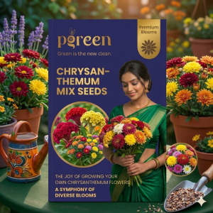 chrysanthemum mixed seeds (30 seeds)