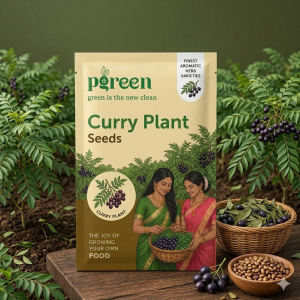 curry plant seeds (5 seeds)