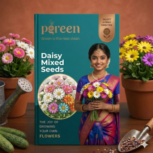 daisy mixed seeds (30 seeds)