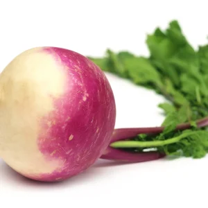 turnip purple top seeds (5 seeds)