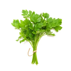 coriander seeds (100 seeds)