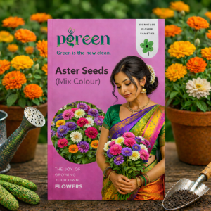 aster mixed seeds (10 seeds)