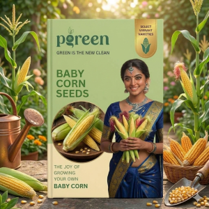 baby corn seeds (3 seeds)