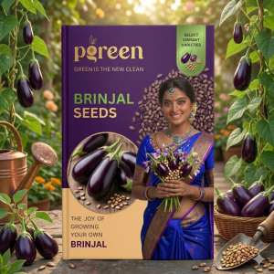brinjal seeds (12 seeds)