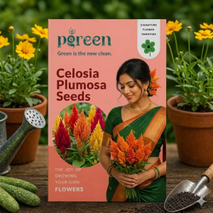 celosia plumosa seeds