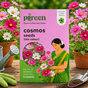 cosmos mixed sensation seeds (20 seeds)