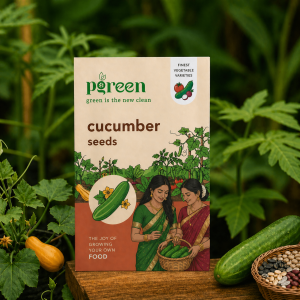 cucumber seeds (5 seeds)