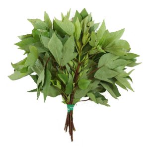 gongura (roselle) seeds (10 seeds)