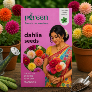 dahlia mixed seeds (20 seeds)