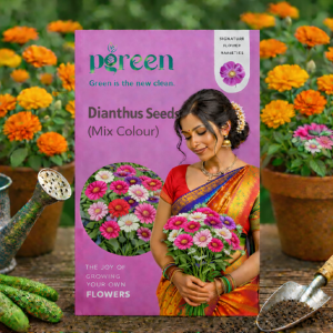 dianthus splendor seeds (20 seeds)