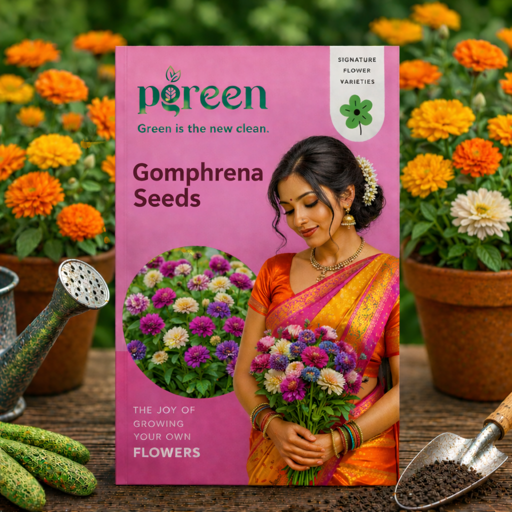 gomphrena seeds gomphrena seeds