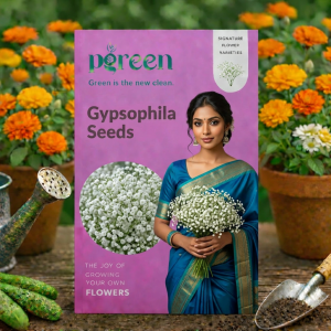 gypsophila seeds
