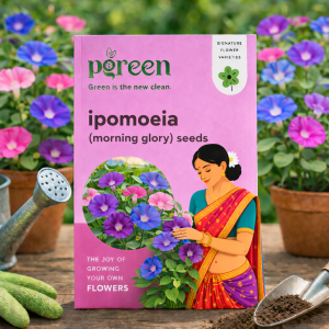 ipomoea morning glory seeds