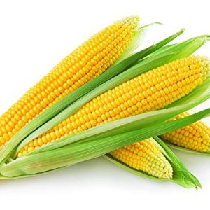 sweet corn seeds (4 seeds)