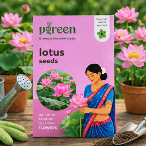 lotus seeds (4 seeds)