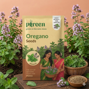 oregano seeds (30 seeds)