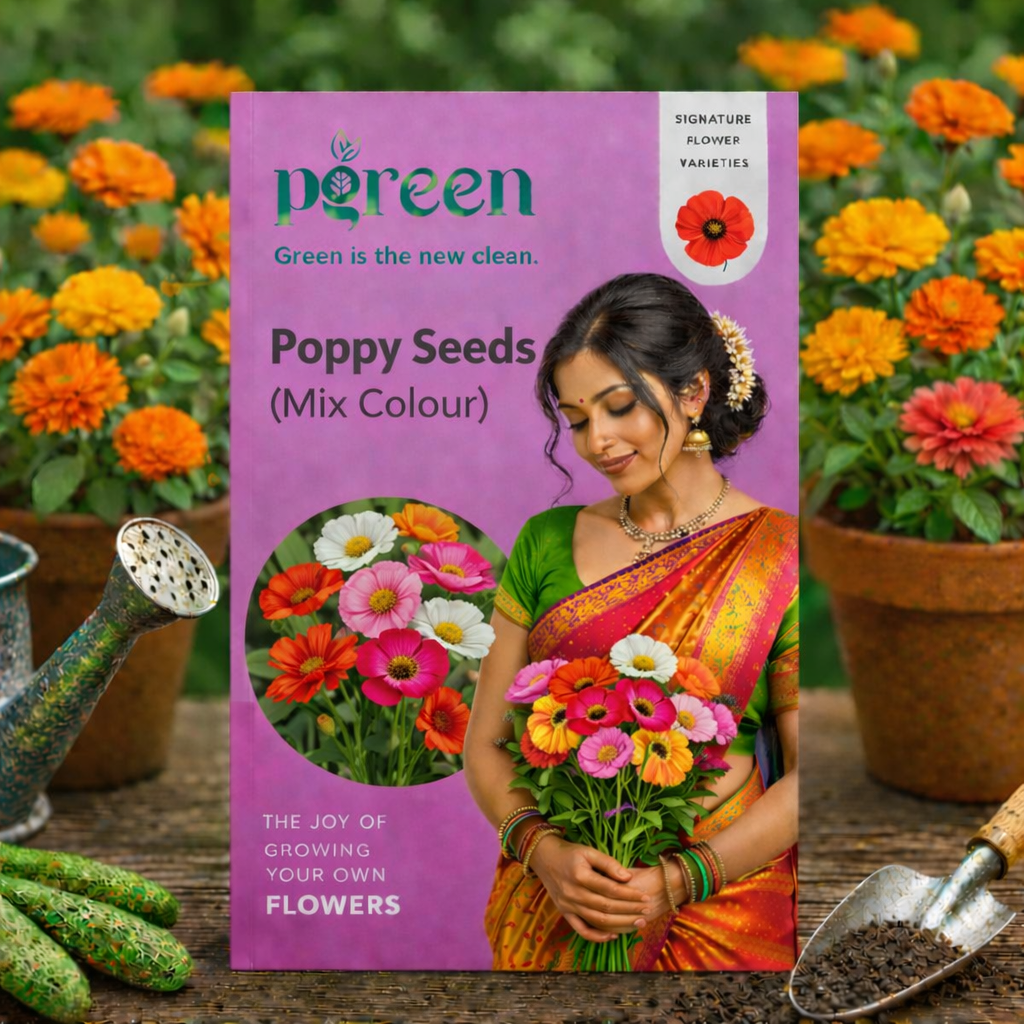 poppy mix seeds poppy mix seeds