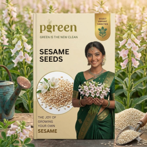microgreen sesame seeds (10 gms)