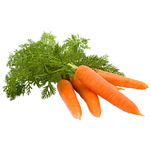 carrot seeds (10 seeds)