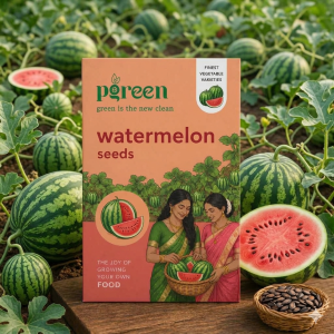 watermelon seeds (3 seeds)