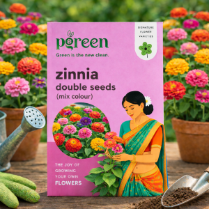 zinnia double mix seeds (30 seeds)