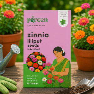 zinnia lilliput mix seeds